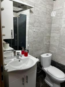 普里什蒂纳Blini Complex的浴室配有白色卫生间和盥洗盆。