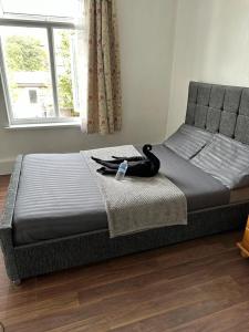 伦敦Affordable Private Rooms in Wembley的床上坐着一只黑猫