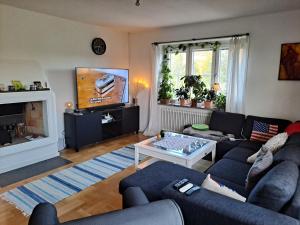 厄斯特松德Karls ställe的带沙发和电视的客厅