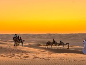 ShāhiqDesert Private Camps - Private Bedouin Tent的一群人在沙漠骑骆驼