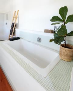 豪特湾MooiBaai的浴室内装有盆栽植物的浴缸