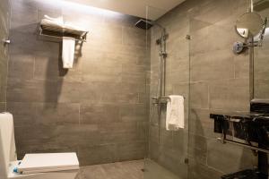 达曼Le Levels Residency的浴室配有淋浴间和卫生间。