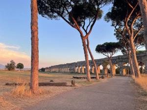 罗马Soul of Rome: Eternita’ ed Eleganza的一条有树木的道路和一座距离遥远的桥梁
