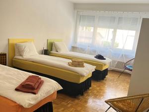 洛迦诺Casa Kromatica的客房设有两张床和窗户。