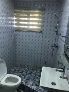 OshienHolly House的一间带卫生间和水槽的浴室