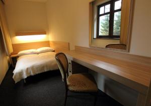齐莱涅克阿布索尔温特酒店的客房设有一张桌子、一张床和镜子