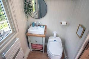 阿伦德尔Shepherds Huts Tansy & Ethel in rural Sussex的一间带卫生间、水槽和镜子的浴室