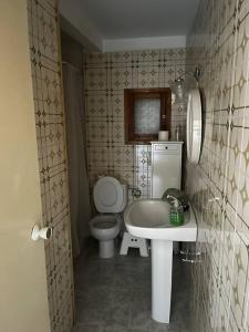 拉拉古纳Tantulia ficus loft的一间带水槽和卫生间的浴室