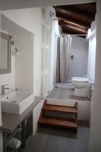 切尔诺比奥Traditional Piazza Home/Balcony/ Private Garden的一间带水槽、卫生间和淋浴的浴室