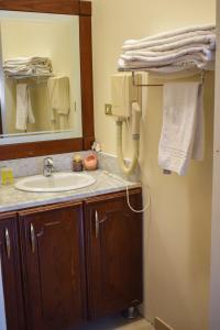 瓦迪穆萨Twilight Hotel Petra的一间带水槽和镜子的浴室