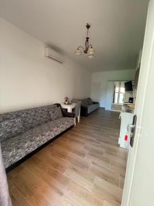 克拉列沃Apartman K2的带沙发和木地板的客厅