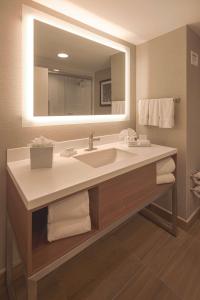 蒙特雷Hampton by Hilton Monterrey Galerias Obispado的一间带水槽和大镜子的浴室