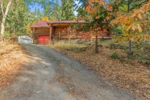 莱文沃思Bear Ridge Cabin的通往树林中小木屋的道路
