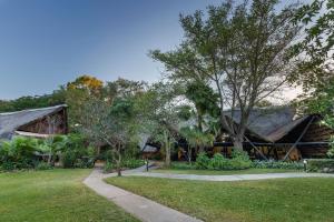 Chisamba普罗蒂亚野生酒店的茅草屋顶和草地庭院的房子