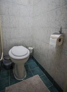 索尔沃什Főtér Apartman的浴室设有卫生间和一卷卫生纸