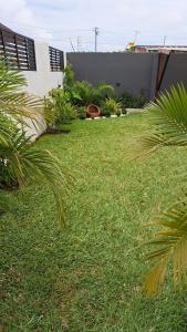 AshaimanModern Family House with 2 bedrooms + Free Parking的一座房子旁的庭院,里面种有绿草和棕榈树