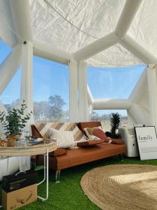 GlenroyCoonawarra Hampton Bubble 1的一间客厅,客厅的沙发位于白色帐篷内