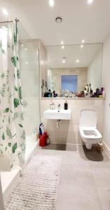 伯恩茅斯Luxury 1 bed apartment-sea view的带淋浴、卫生间和盥洗盆的浴室