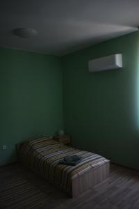 索非亚Apartment Airport Sofia的绿色客房,角落里设有一张床