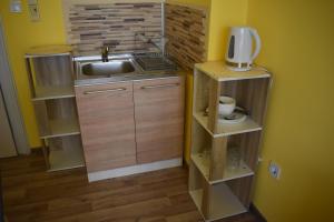 索非亚Apartment Airport Sofia的一个带水槽和木架的小厨房