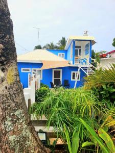 托舵道斯Casa Frangipani Mauritius的前面有一棵树的蓝色房子
