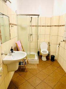 波兹南快乐之家旅馆的带淋浴、盥洗盆和卫生间的浴室