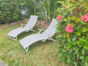 托舵道斯Casa Frangipani Mauritius的两把白色躺椅坐在灌木丛旁边,上面有粉红色的花朵
