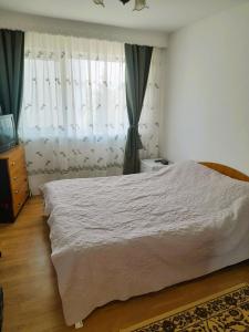 巴克乌Apartment Eminescu - A pleasant stay in Bacau的卧室配有白色大床和窗帘