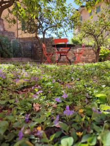 菲纳莱利古雷Apartment with private Garden的花园里种满鲜花,配有桌椅