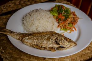 Rodrigues IslandLe Tropical Chez Jeannette的饭,鱼和沙拉等食物