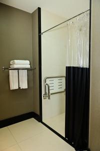 费拉迪圣安娜NH HOTEL FEIRA DE SANTANA的浴室里设有玻璃门淋浴