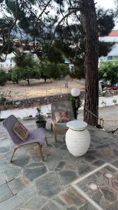 迈萨纳艾里德一室公寓的庭院设有两把椅子和一张桌子,还有一棵树
