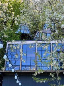 库塔伊西Porto Gumati的前面有白色花卉的蓝色建筑