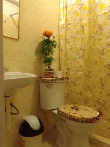 库斯科Incas Town Inn的浴室配有卫生间、盥洗盆和淋浴。