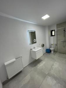 拉姆尼库沃尔恰Sole Boutique的一间带水槽、淋浴和卫生间的浴室