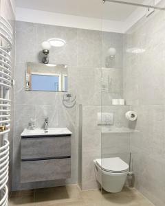 克拉尼斯卡戈拉Apartment and rooms Maraton的一间带卫生间、水槽和镜子的浴室