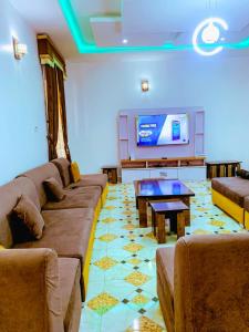 阿布贾Select Elegant 3 Rooms 3 sized king-bed @ Abuja FCT的带沙发和平面电视的客厅