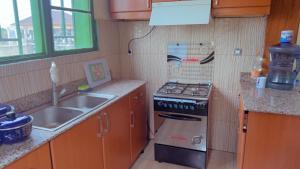 基加利Hostelito Room的小厨房配有炉灶和水槽