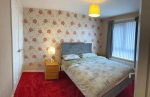贝尔法斯特3 Bedroom House near city centre的一间卧室配有一张床,铺有红色地毯
