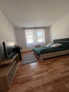 马汀Apartman centrum Šturka的一间卧室配有一张床和一台平面电视