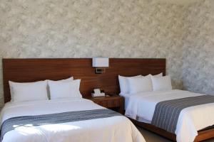 圣卡洛斯Casa Maria Boutique Hotel的酒店客房带两张床和一面墙