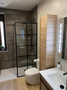 阿雷纳斯德圣佩德罗Edulis 1的浴室配有卫生间、淋浴和盥洗盆。