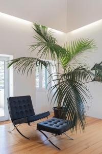 卡马拉-德洛布什Casa Mar Adentro的黑椅子和一棵棕榈树