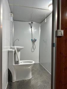 金城永乐古厝民宿的浴室配有白色卫生间和淋浴。