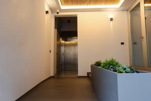 雷焦卡拉布里亚T&L-Home的带有植物的办公大楼走廊