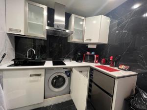 埃维昂莱班Evian appartement confort Vue lac et parking privé的厨房配有白色橱柜和洗衣机。