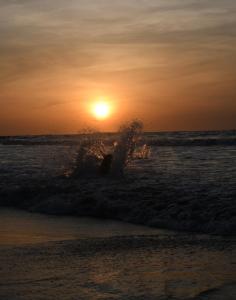 圣贝尔纳多德尔比恩托älanacasadeplaya的日落时在海洋里挥舞的人