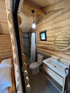 SălătrucelM&V Infinit的小木屋内的浴室设有水槽和卫生间