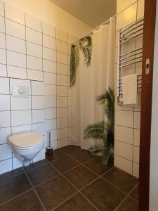 雷扎尔菲厄泽Studio 22的一间带卫生间和植物的浴室