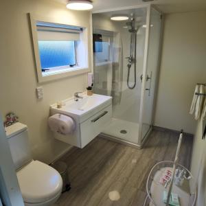 蒂阿瑙Kea by the Lake的浴室配有卫生间、盥洗盆和淋浴。